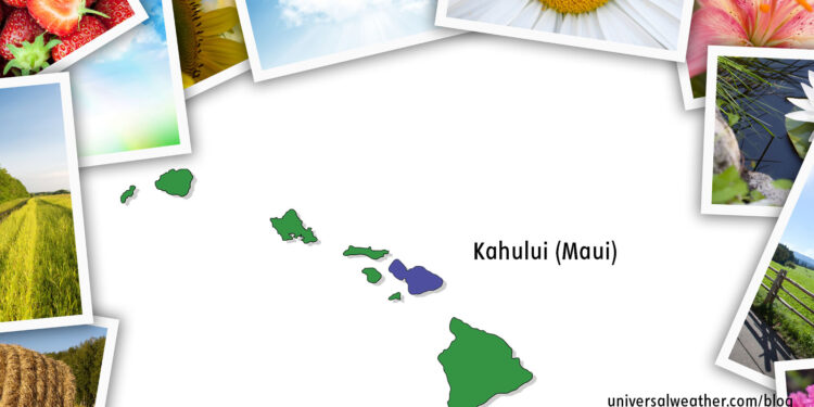 Top Operating Considerations for Kahului Maui (PHOG)