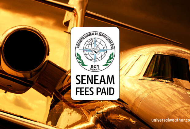 SENEAM Fees for Travel to or over Mexico – Part 2: Dealing with a SENEAM Suspension