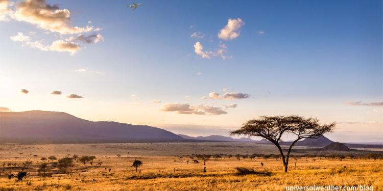 Business Jet Ops to Kenya: Flight Planning, Weather & NOTAMs