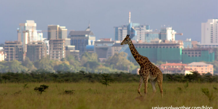 Business Aircraft Ops to Nairobi, Kenya – Part 3: CIQ, Security and Local Area